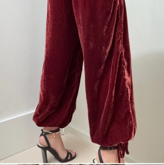 Free People velvet Lotus pants - Picture 5 of 16